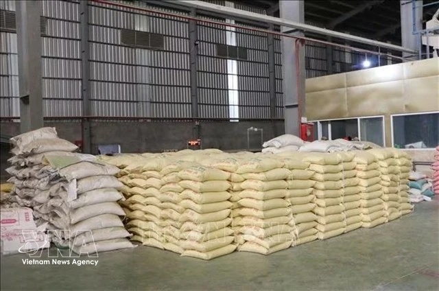 China emerges as Vietnam's second-largest rice export destination