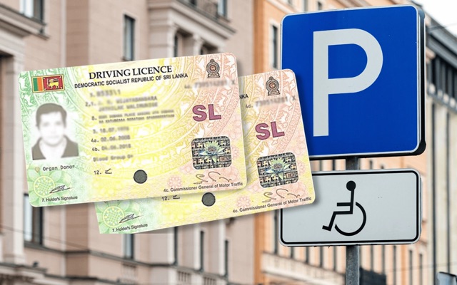 Parliamentary panel backs reforms to ease disabled driver licensing process