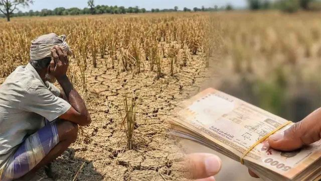 Severe drought damages thousands of acres, threatens farming livelihoods
