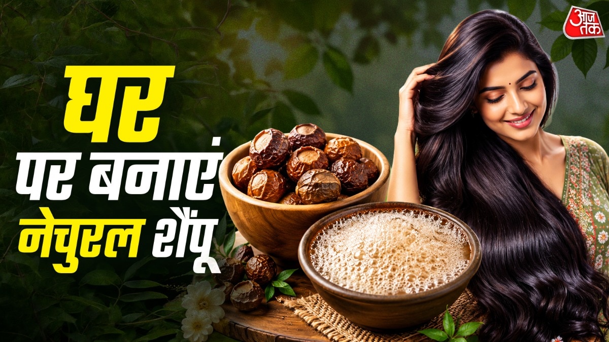 रीठे से बनाएं प्राकृतिक शैंपू, केमिकल मुक्त बाल देखभाल का सस्ता विकल्प