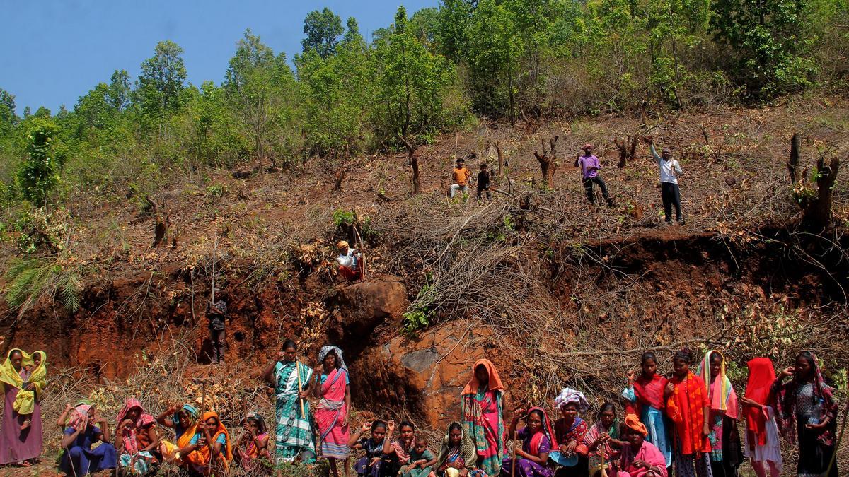 Odisha mining protesters appeal to Governor after activist arrests