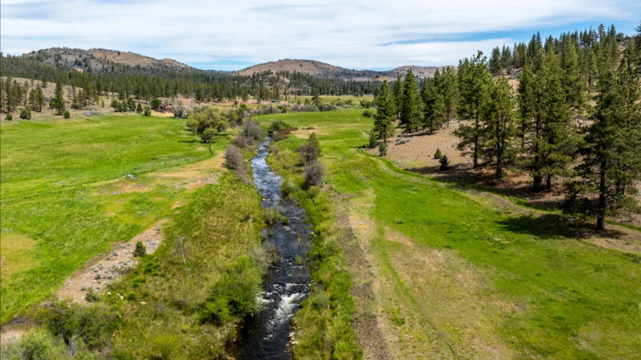 California invests $44 million to safeguard forests, desert lands and tribal territories