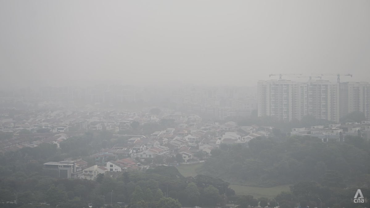 Singapore to distribute N95 masks when PSI breaches 200