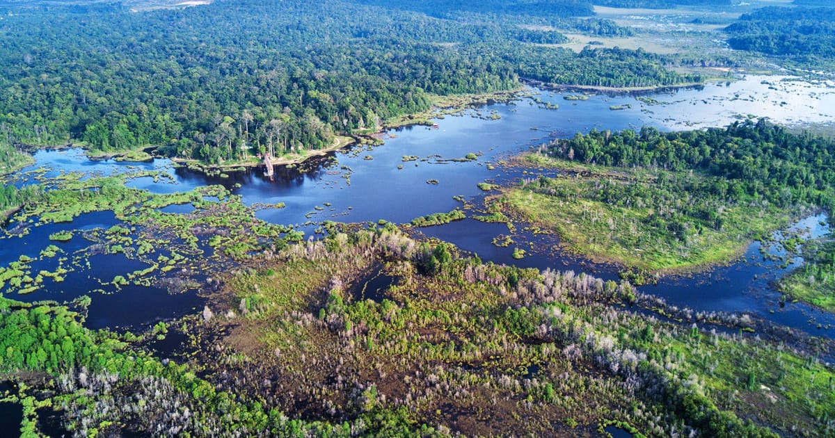 7,000 hectares of Tasik Bera forest reserve suspected illegally cleared