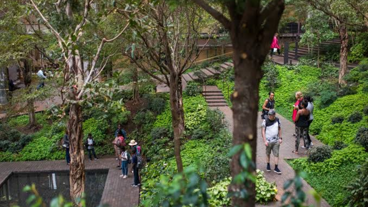 Ford Foundation commits $158.5 million to land rights and forest protection