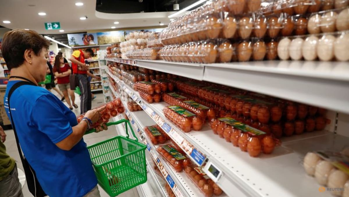 Singapore engages Thai authorities over egg export reduction request