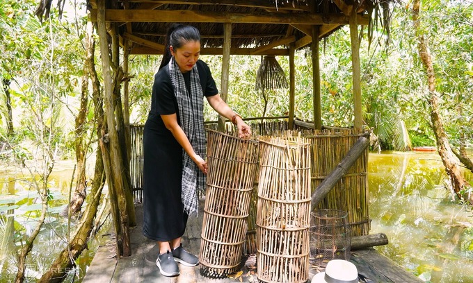 Former urbanite builds eco-tourism empire from family forest plot
