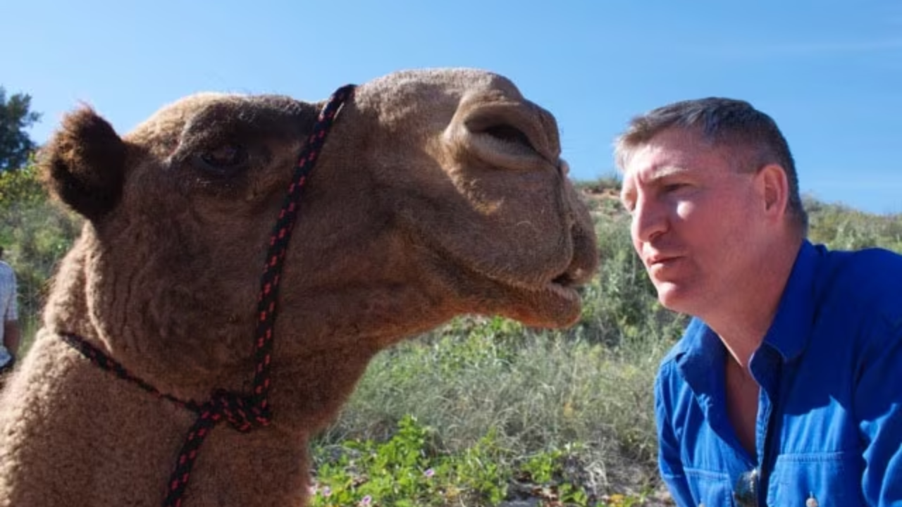 Australian adventurer completes epic 5,500km camel trek across outback