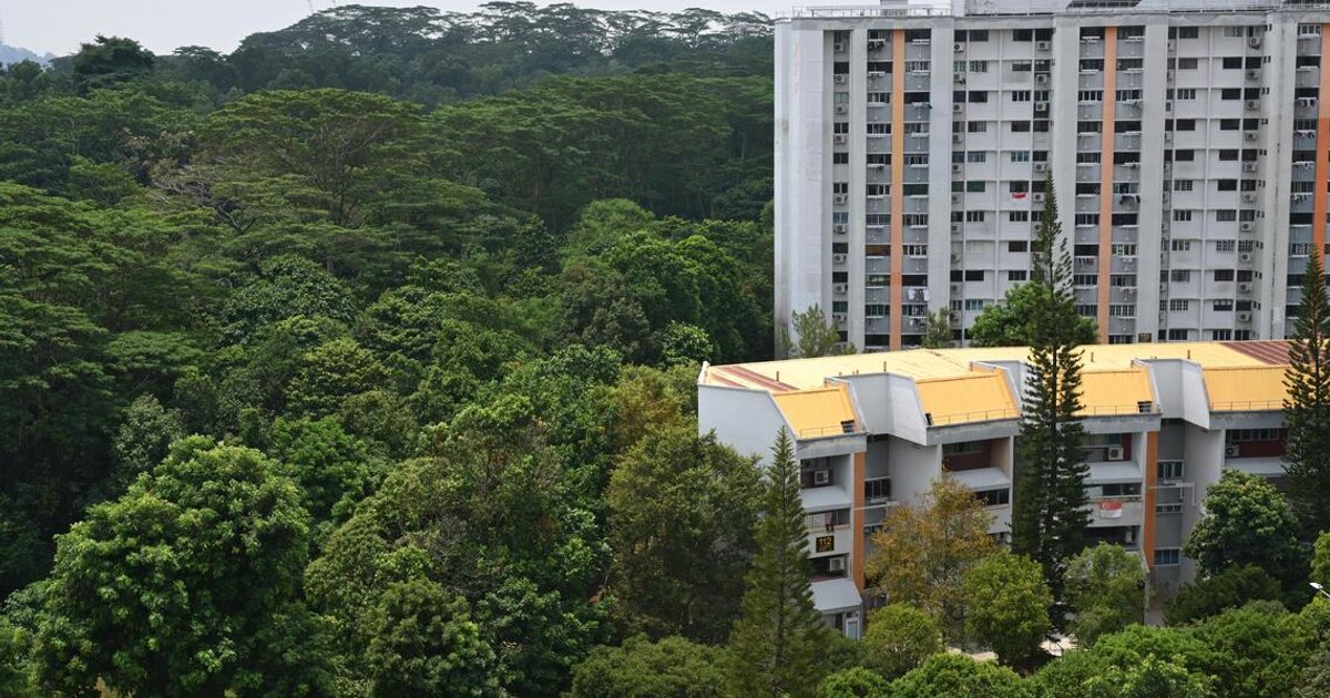 Singapore revises Maju Forest and Gillman Barracks plans with nature park focus