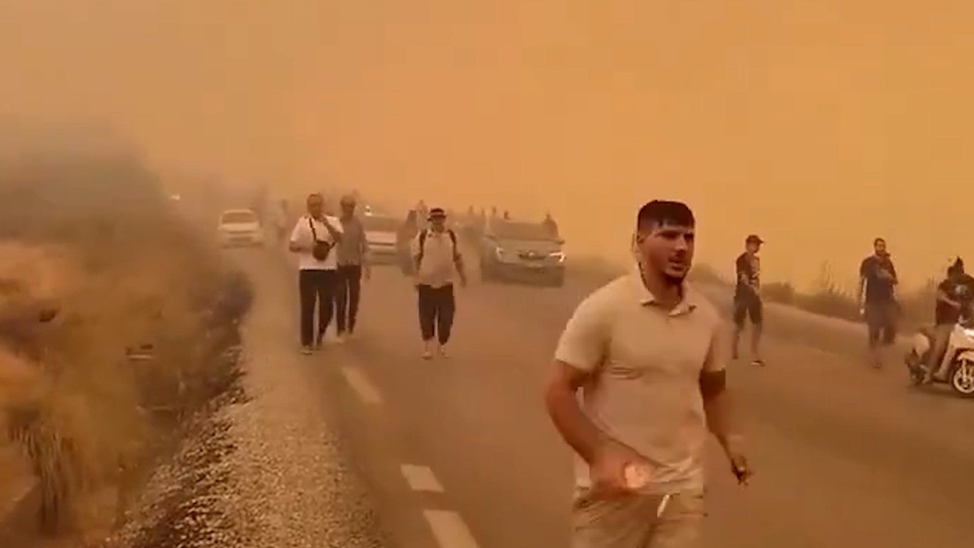 Algeria battles massive wildfire outbreak as 12 deaths reported