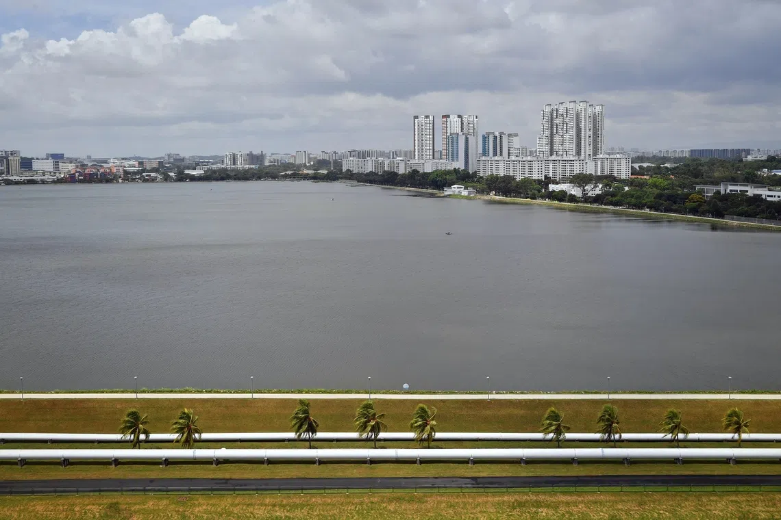 Crocodile spotted at Pandan Reservoir; water activities halted