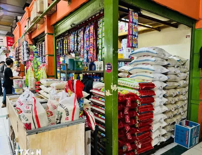 Indonesia, Timor-Leste explore complementary economic strengths