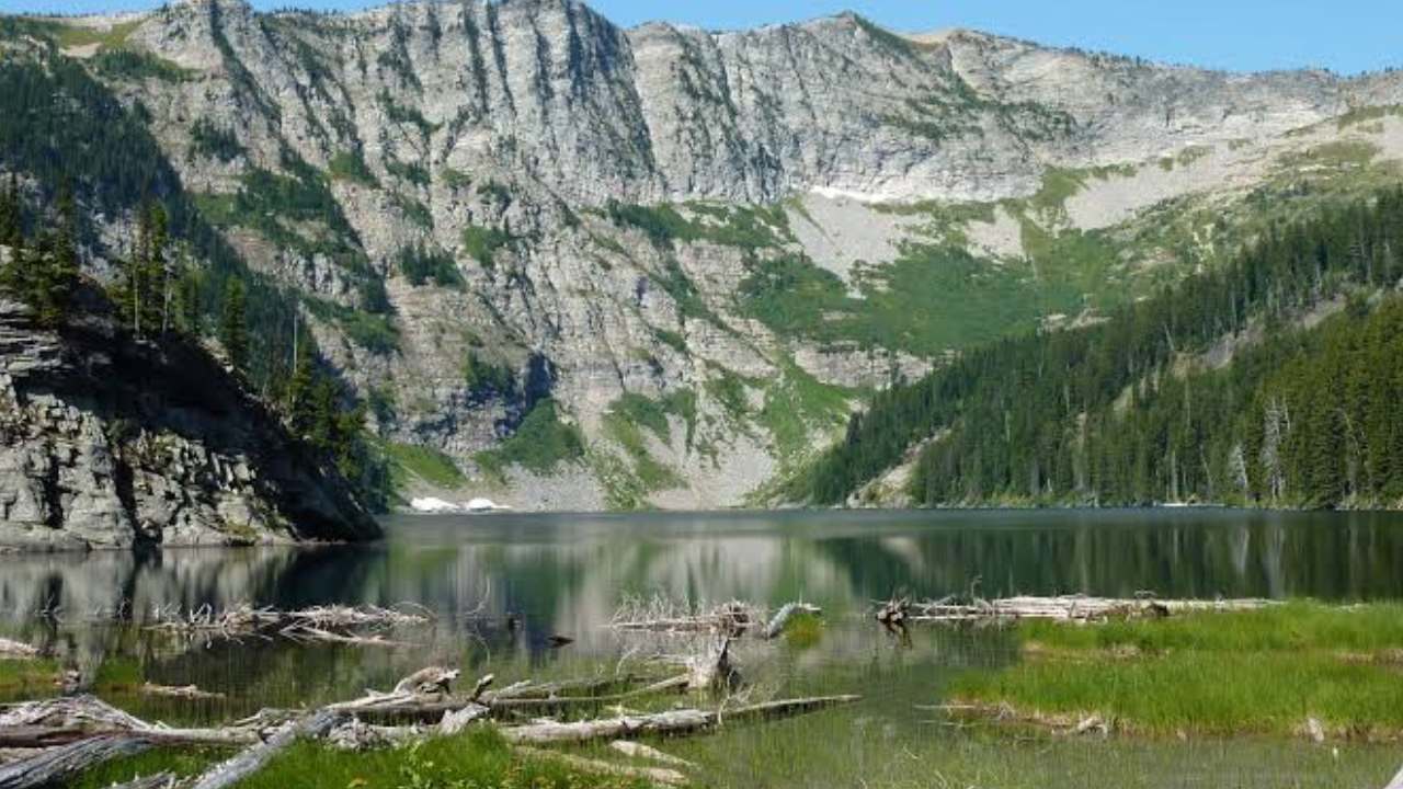 Montana pursues $17.1 million timberland conservation deal
