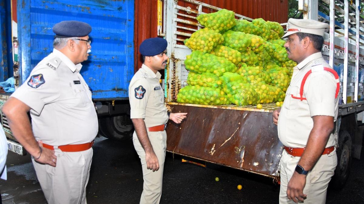 Kadapa police bust major red sanders smuggling racket, arrest nine