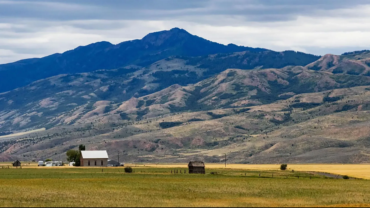 US Farmers Turn to Solar Leasing as Agricultural Incomes Decline