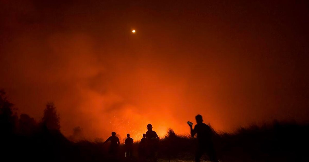Indonesia's Degraded Peatlands Fuel Massive Carbon Emissions