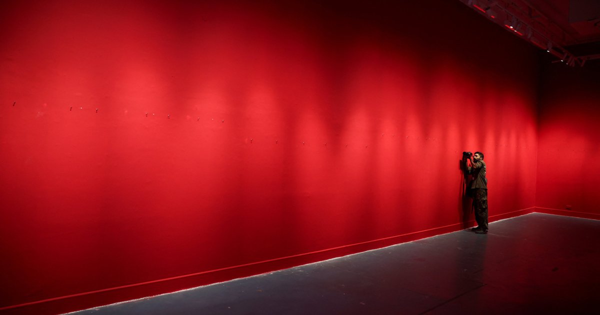Artwork documenting protests removed from Delhi cultural centre
