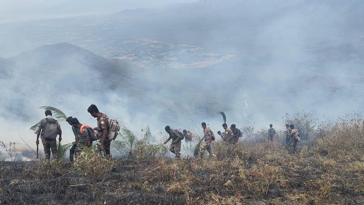 सत्यमंगलम टाइगर रिजर्व में तीन दिन की आग पर नियंत्रण