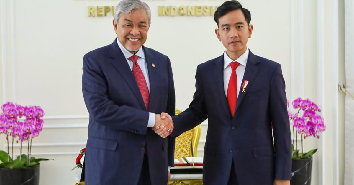 Malaysia tawarkan pesawat dan aset lain bantu tangani kebakaran hutan Indonesia