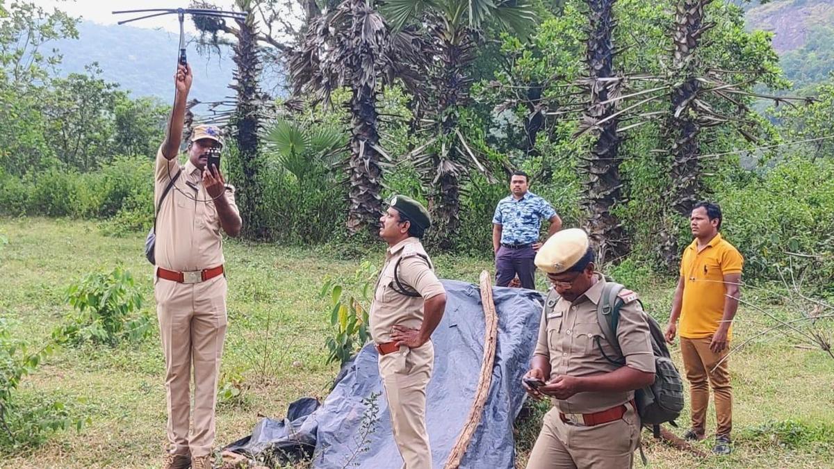 Tiger kills buffalo in Andhra Pradesh village; forest teams step up monitoring
