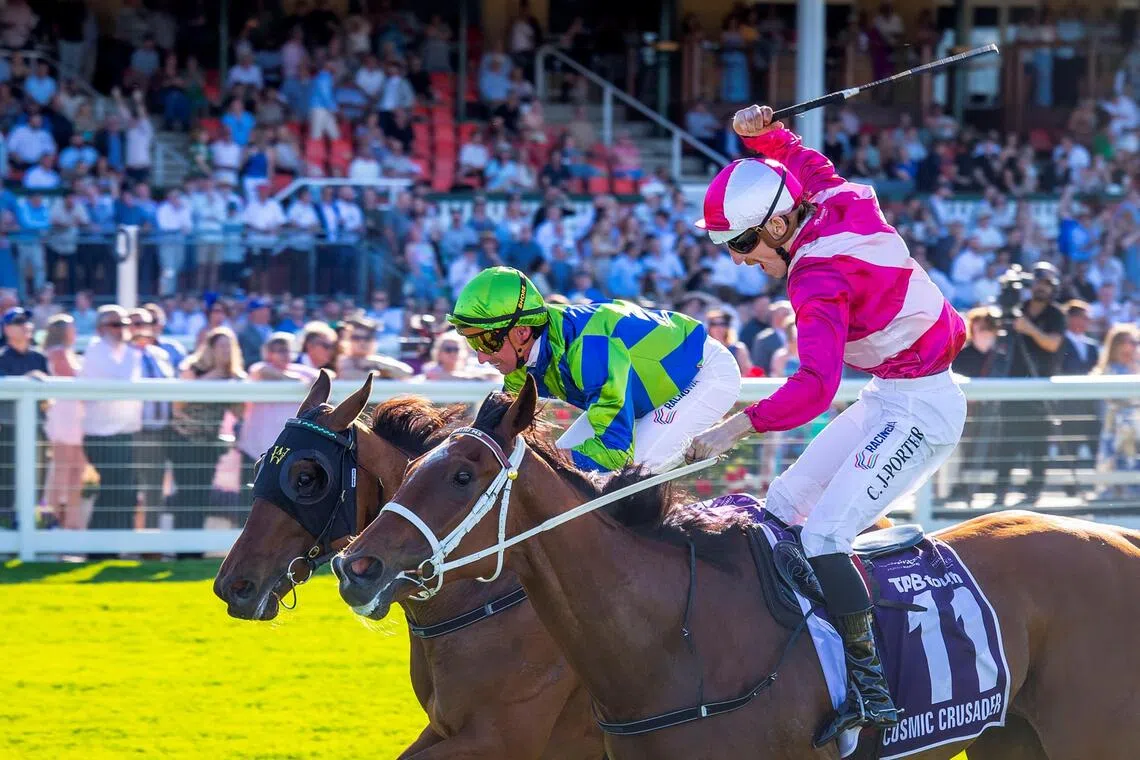 Cosmic Crusader set for Caulfield victory, racing analysts predict