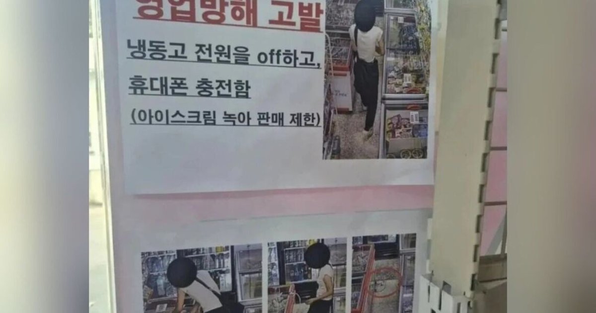 South Korean shop owner faces loss after customer unplugs freezer for phone charging