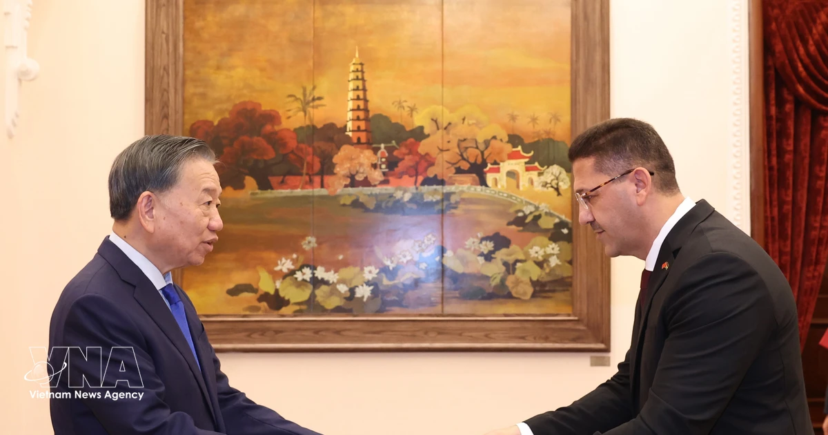 Vietnam's Top Leader Receives Newly Accredited Ambassadors