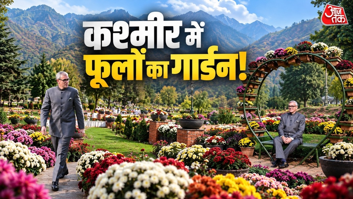 Kashmir's Chrysanthemum Garden Blooms as Off-Season Tourist Draw