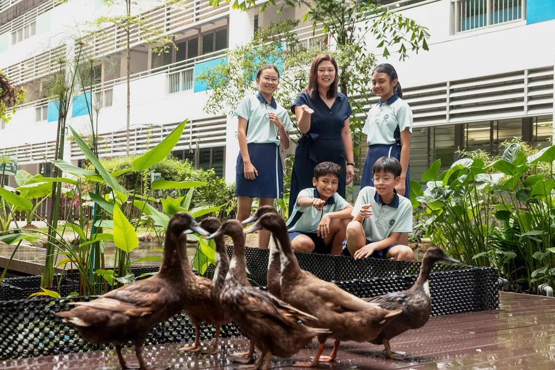 Psychologists advise parents to rethink PSLE encouragement tactics