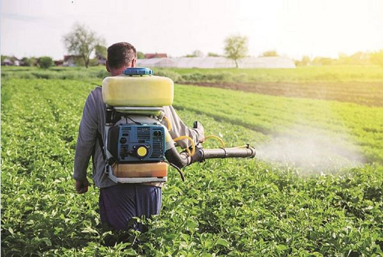Think tank endorses direct fertiliser transfers, flags AgriStack concerns