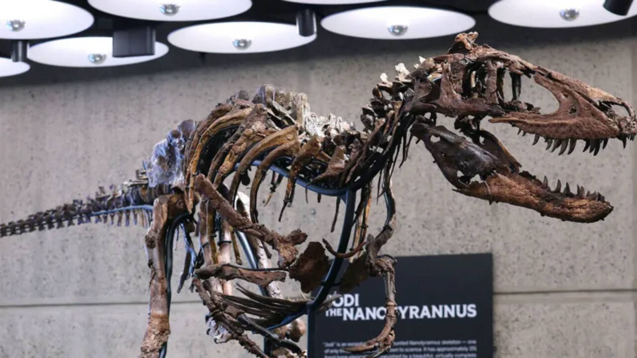 Rare dinosaur fossil fetches record $47.3 million at auction
