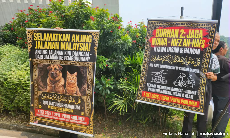 29 Organisasi Tuntut Kerajaan Peruntukan RM10 Juta Pengurusan Anjing Liar Berperikemanusiaan