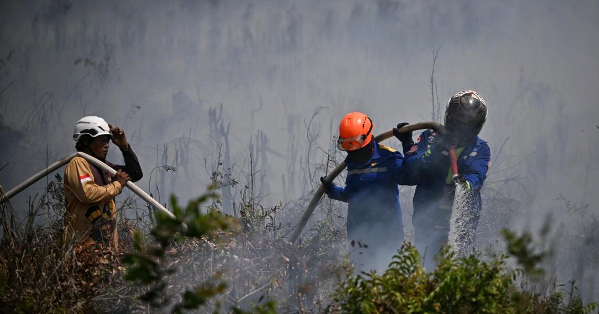 Indonesia targets 20 firms in forest fire crackdown as haze crisis deepens