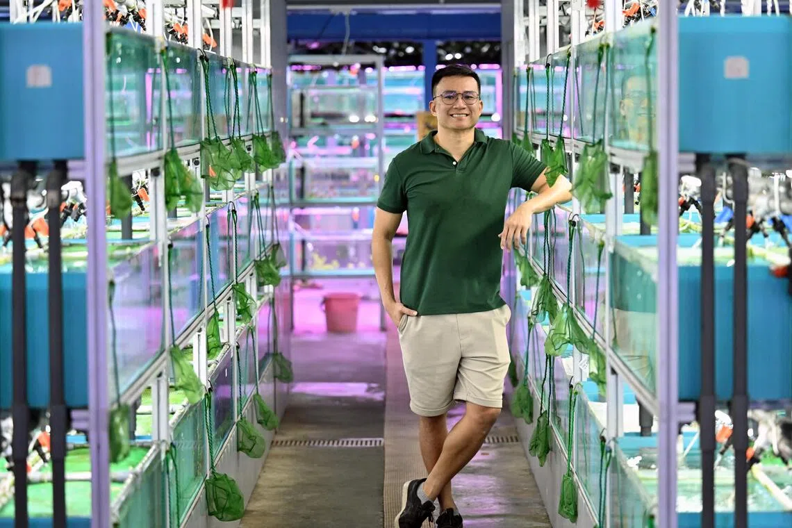Entrepreneur disrupts ornamental fish trade with digital marketplace