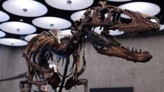 Rare Nanotyrannus skeleton heads to auction in New York