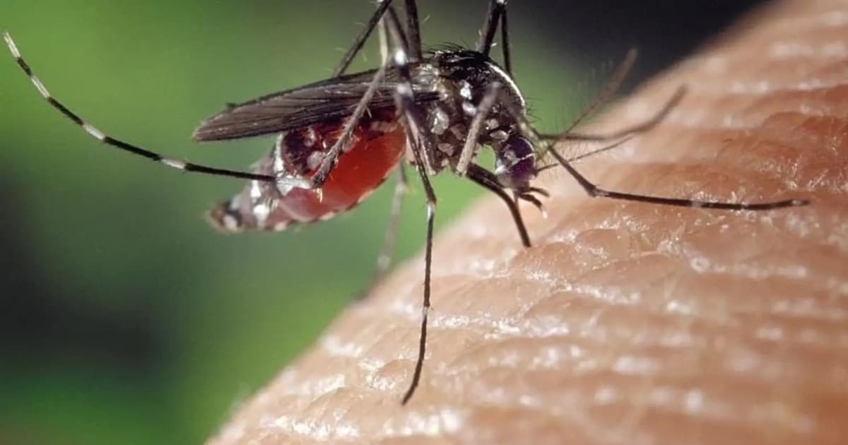 Kes Denggi Melonjak 56 Peratus, 55 Nyawa Terkorban