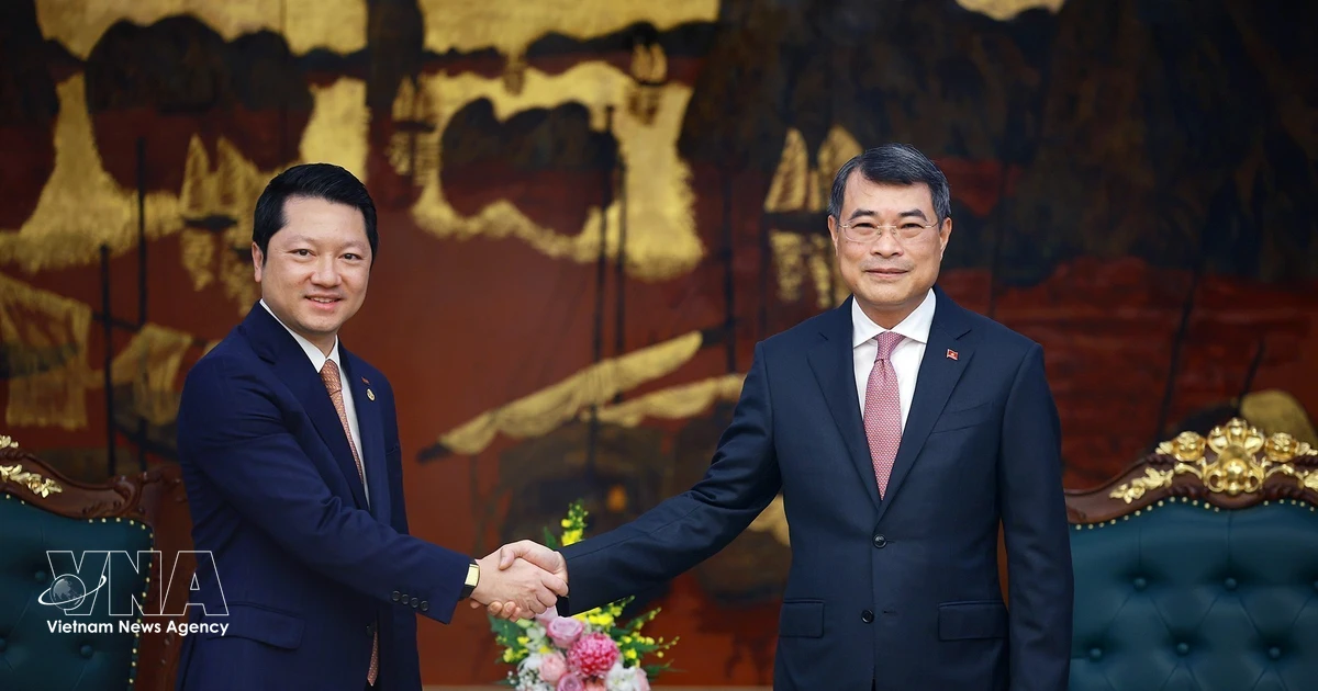 Vietnam, Cambodia boost inspection cooperation to support economic ties