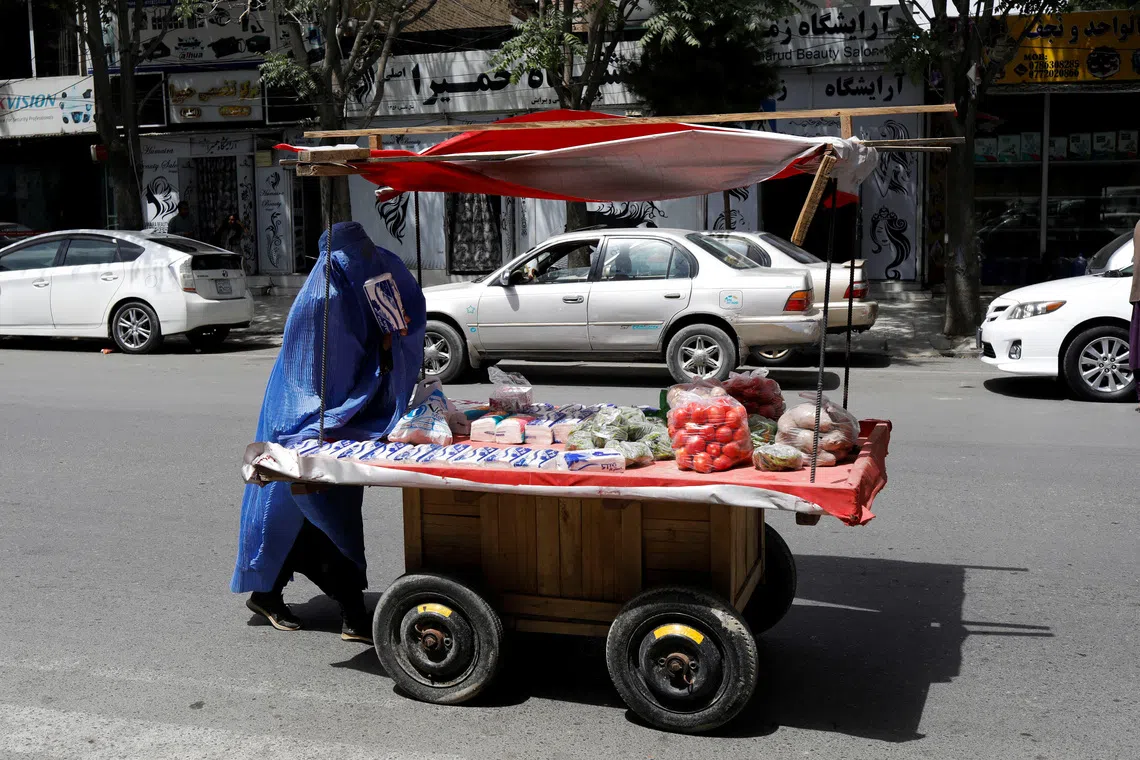 Afghan women's workforce participation plummets to 5% under Taliban rule