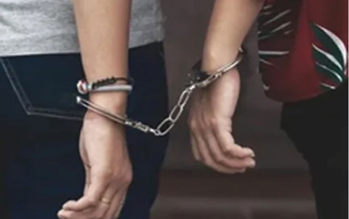 Two more arrested in connection with Dehiwala grenade attack