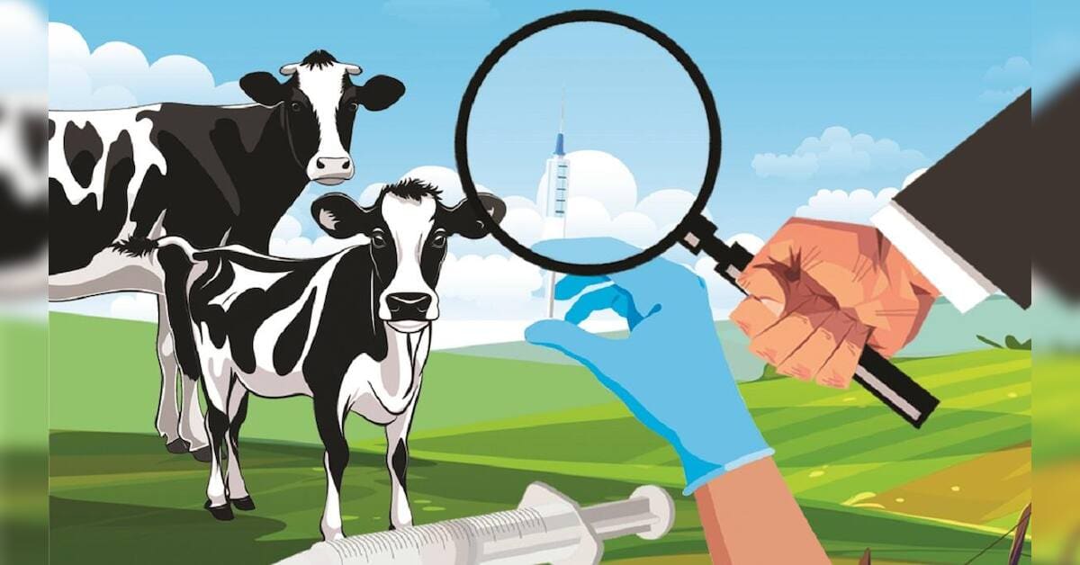 India to ban two antibiotic classes used in animal husbandry