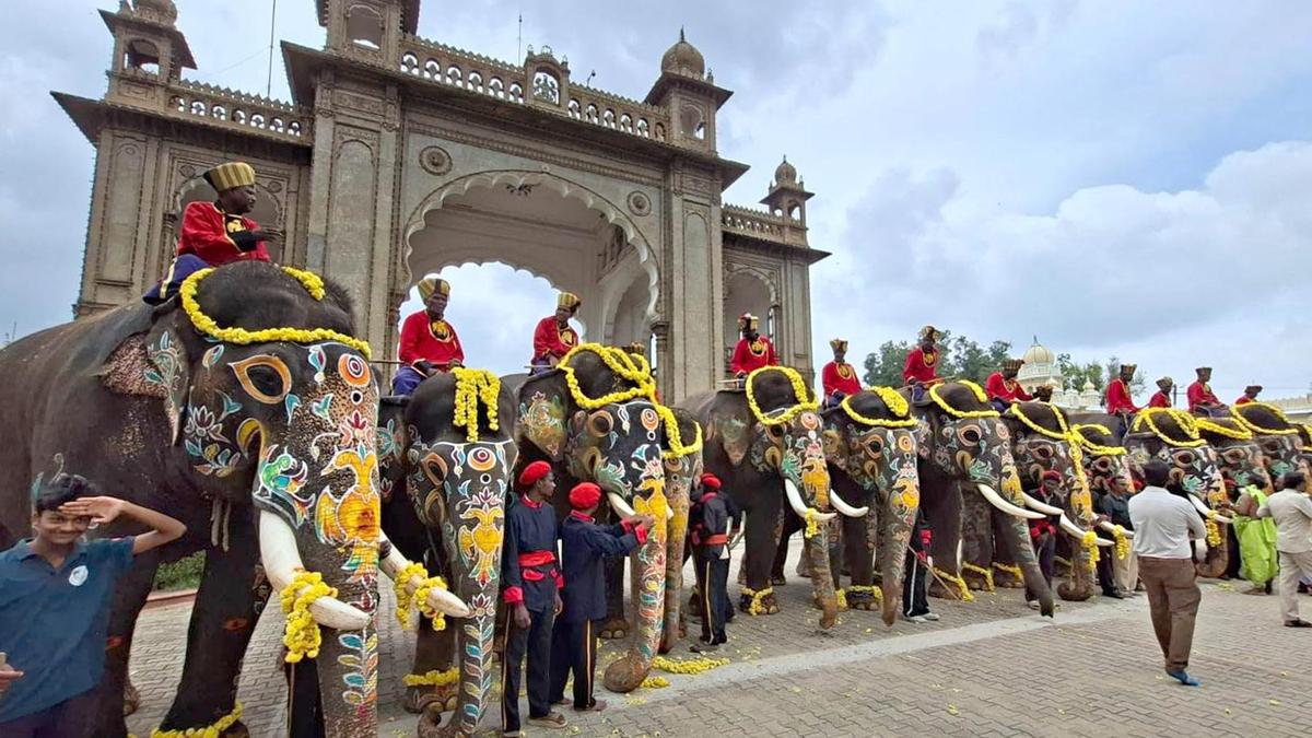 दशहरे के बाद मैसूर के हाथी जंगल शिविरों को लौटे