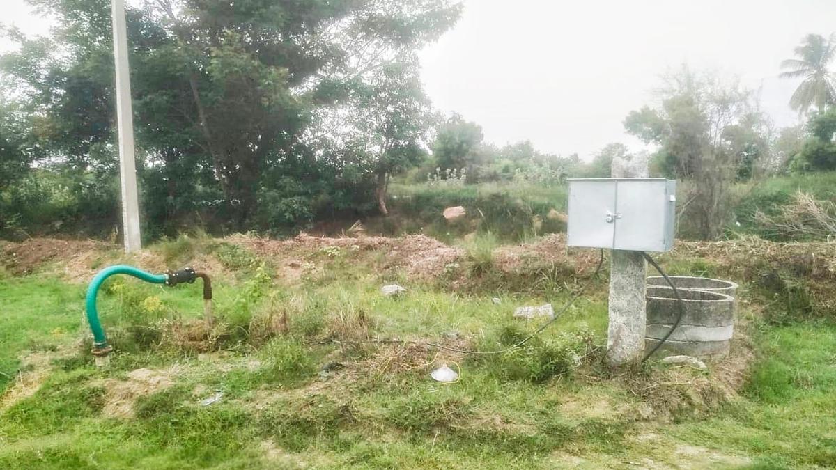 रानीपेट में किसान को करंट लगने से मौत