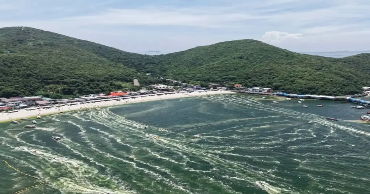 Thai beach closed as algal bloom turns waters green, threatens marine life