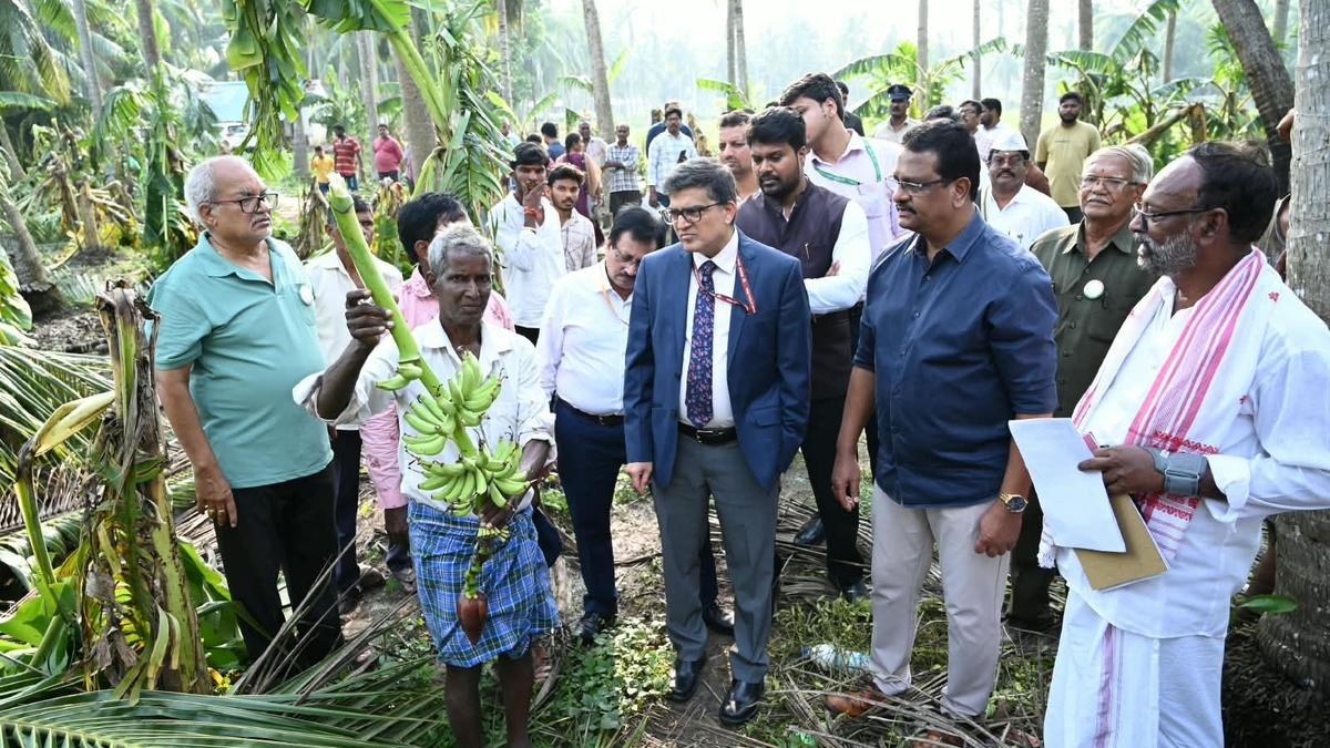Central teams survey cyclone damage as Andhra Pradesh seeks ₹4,600 crore relief