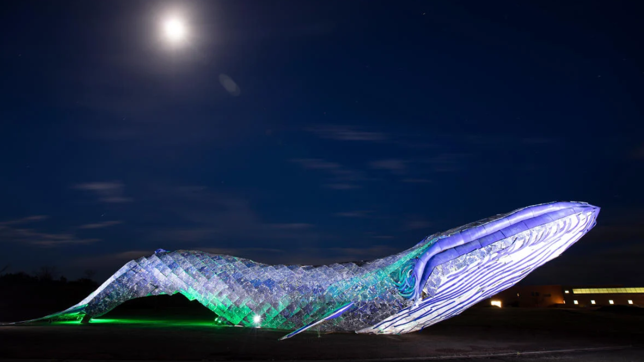 US artists craft massive whale sculpture from 5,000 pounds of plastic waste