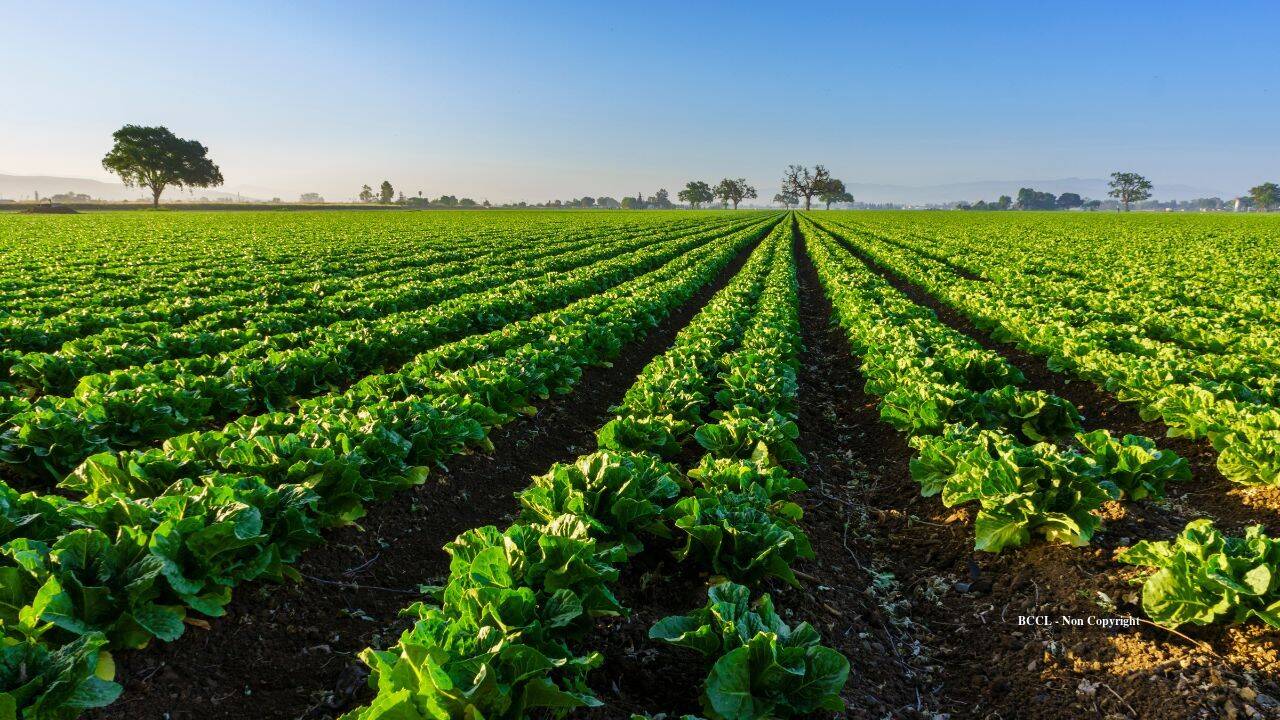 Florida family preserves farmland through conservation easement deal