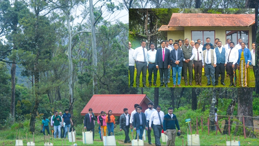 New museum chronicles Sri Lanka's 139 years of forest management