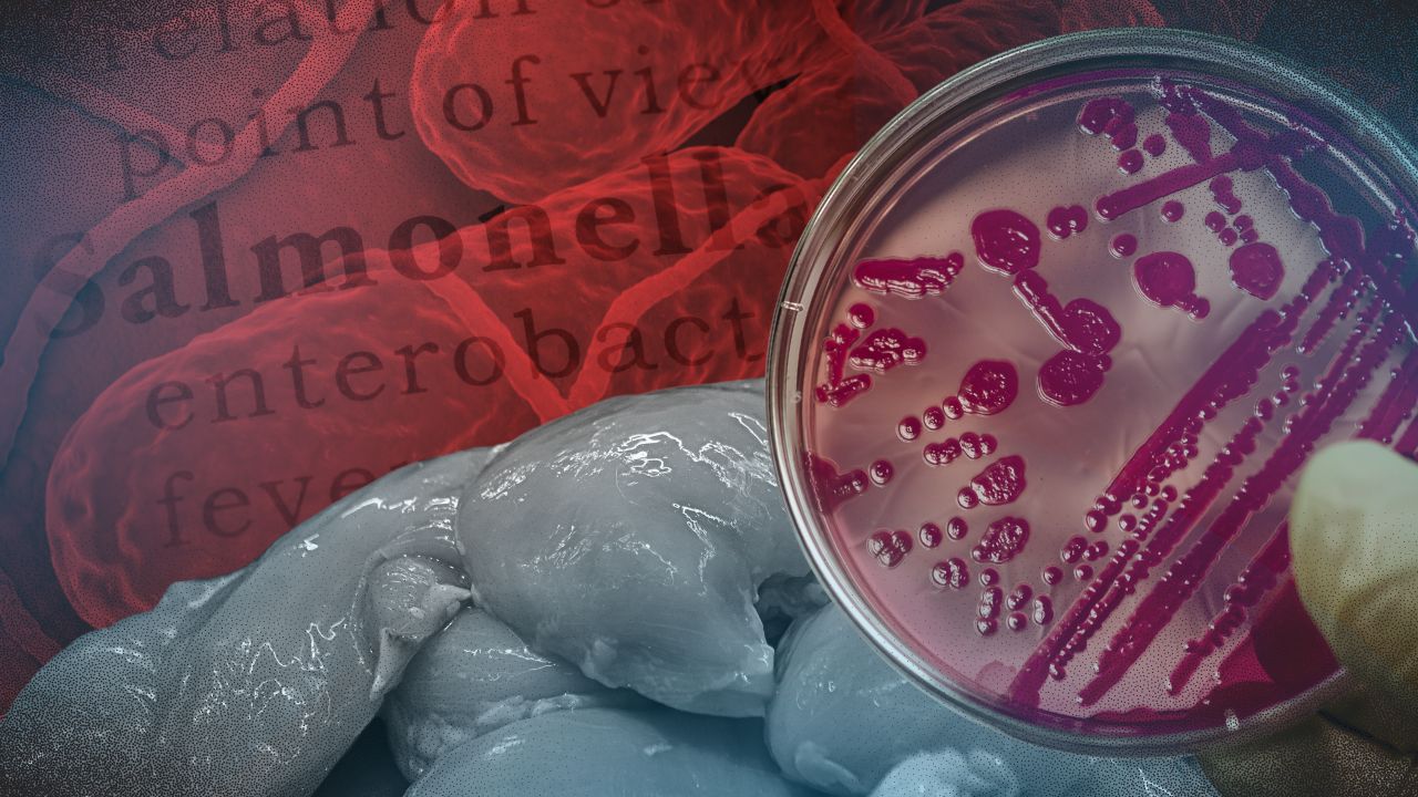 Salmonella na resistente sa antibiotics nahanap sa manok sa Metro Manila