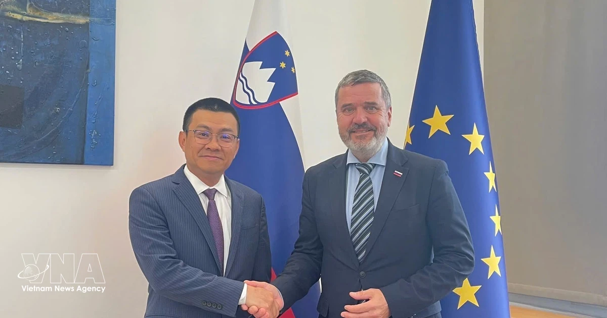 Vietnam and Slovenia seek to deepen bilateral ties across trade, energy sectors