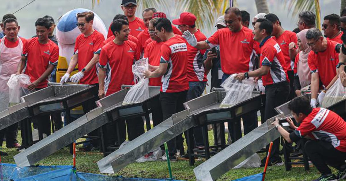 Spesies ikan pendatang kuasai 95% Tasik Ampang Hilir, peraturan baharu diperlukan